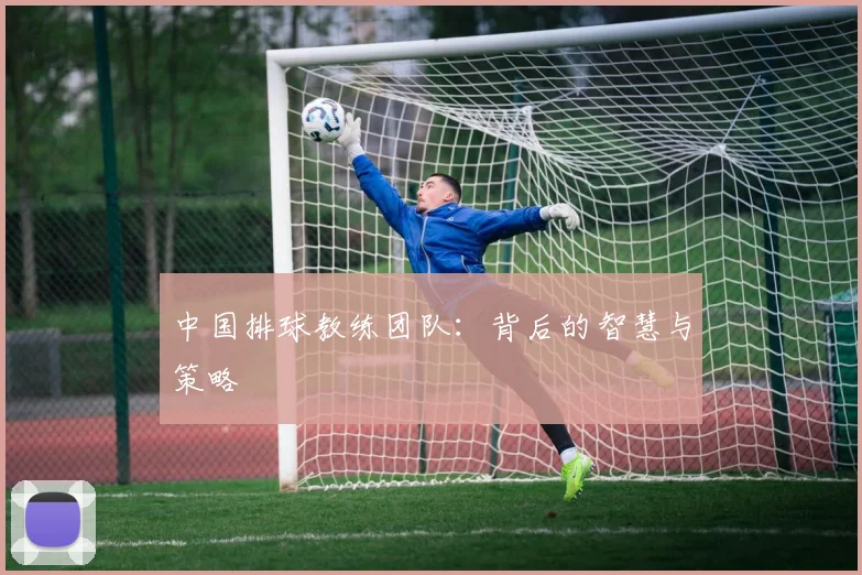 中国排球教练团队：背后的智慧与策略