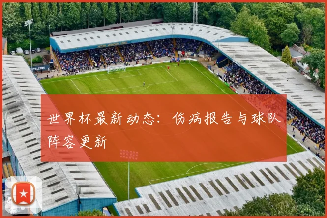 世界杯最新动态:伤病报告与球队阵容更新