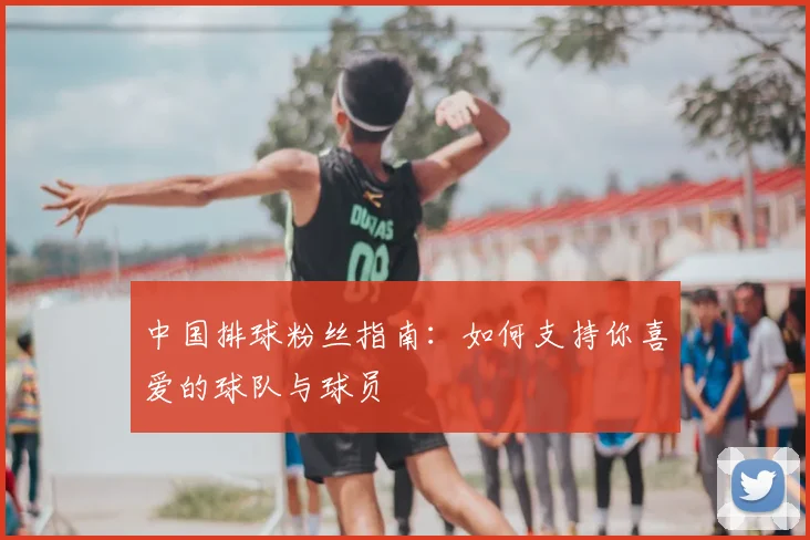 中国排球粉丝指南：如何支持你喜爱的球队与球员